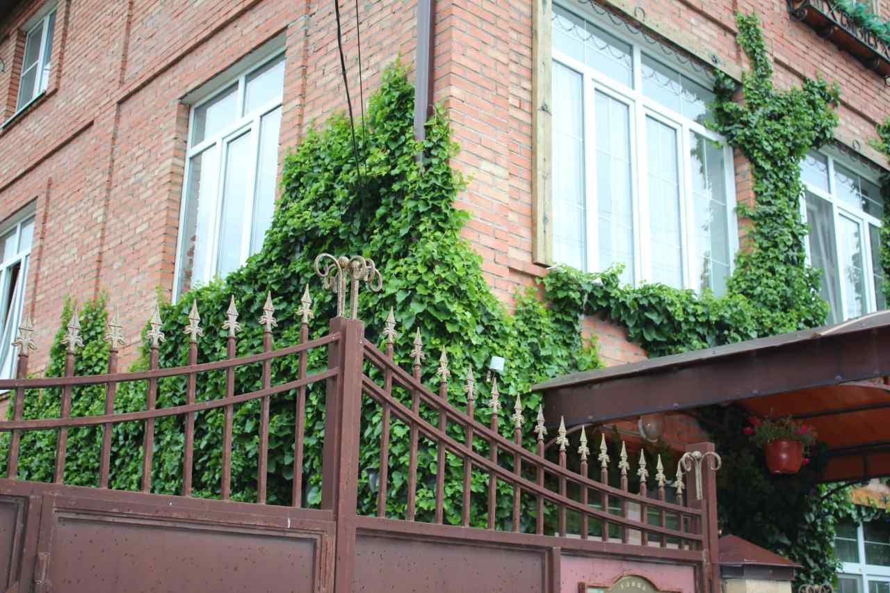 Гостиница  У Друзей Пятигорск-51